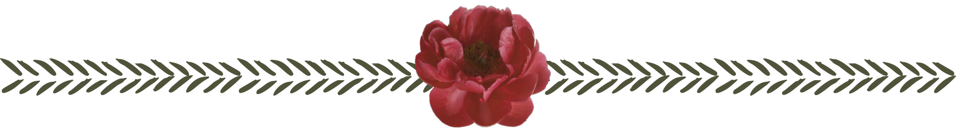 Separador decorativo del Hotel Sauces del Estadio en Medellín